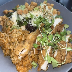 Pollo