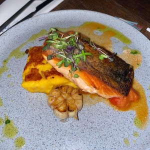 salmon