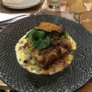 pollo 