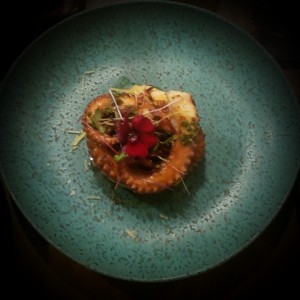 Pulpo Relato