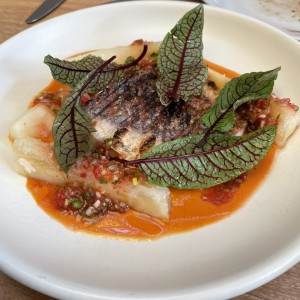 Pargo
