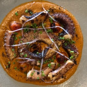 Pulpo