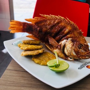 super delicioso 