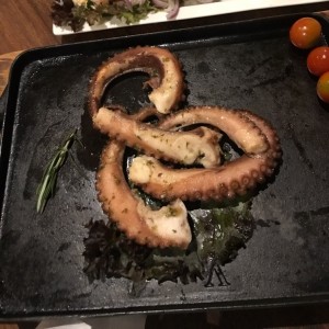 pulpo