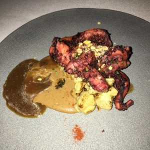 Pulpo