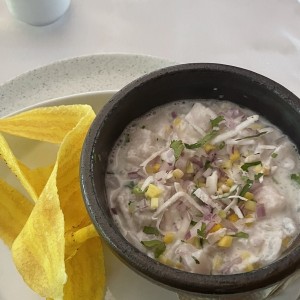 Ceviche de pesca del dia