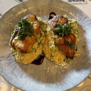 Pollo