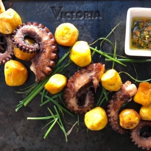 Pulpo