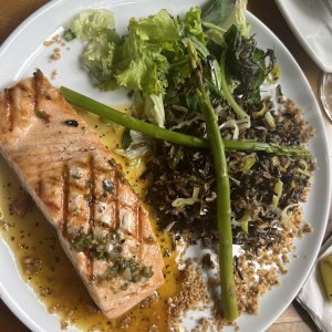 Salmon