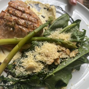 Salmon 