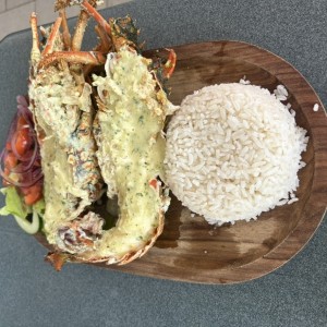Langosta en finas hierbas mantequilla y limon 