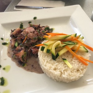 pulpo costa arriba