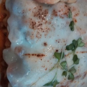 la saga aninas