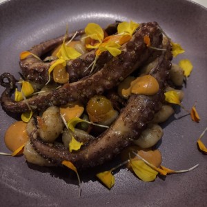 Pulpo al grill con gnocchi de papa