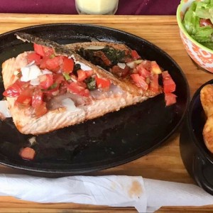 Salmon