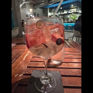gin tonic