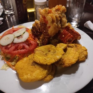 Langosta
