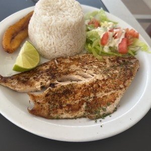 Filete de corvina al ajillo