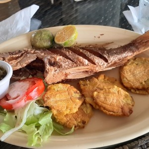 Pargo Frito con patacones  