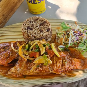 PARGO ENTERO EN SALSA CRIOLLA, AJILLO O FRITO