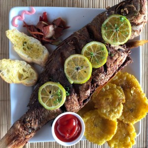 Pargo con patacones