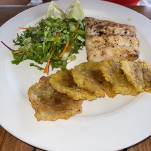 Corvina