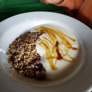 Granola natural con Yogurt y miel