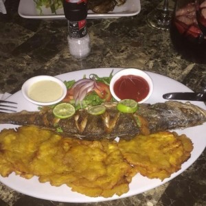 Corvina entera 