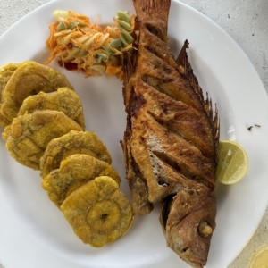 MARISCOS - PARGO FRITO