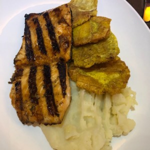 Salmon
