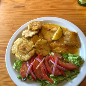 filete de corvina al ajillo con patacones