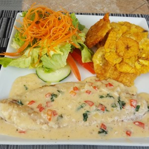 Corvina al ajillo