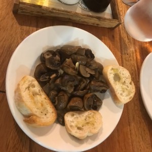 Entrada: Hongos.