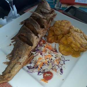 Pesca del dia