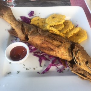 pesca del dia