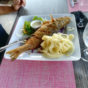 Corvina Frita con yuca almoho