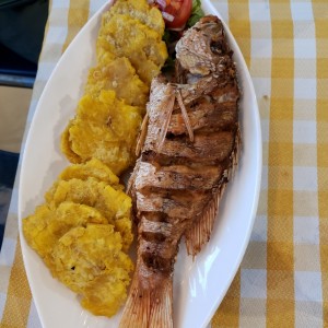 pargo frito con patacon