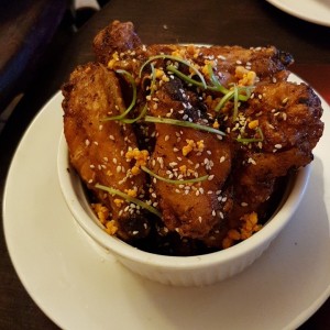 Jag Er Wings
