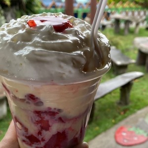 Fresas con crema