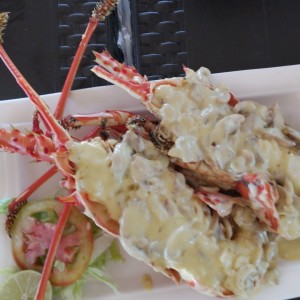 Langosta (salsa blanca con hongos)