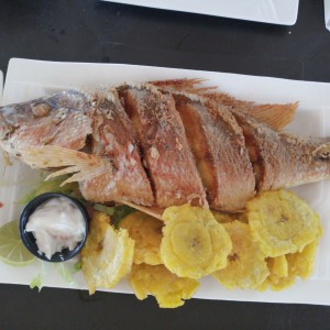 Pescado frito con patacones (pargo)