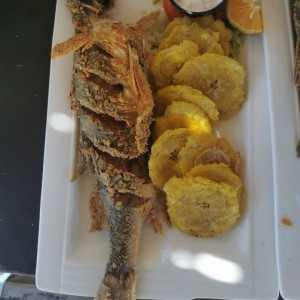 Corvina con patacones