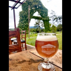 IPA 