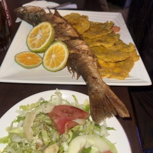Cotvina entera con patacone
