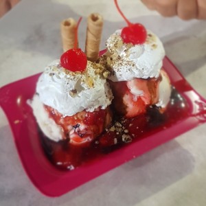 Sundae de 2 sabores