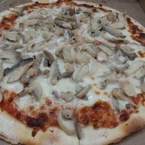 hongos
