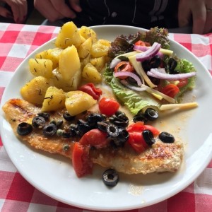 corvina