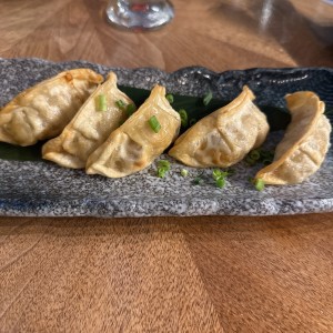 Deliciosas Entradas - Teppan - Gyosas