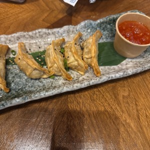Deliciosas Entradas - Teppan - Gyosas