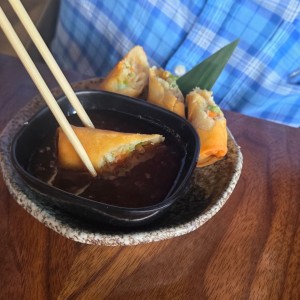 Deliciosas Entradas - Spring Roll